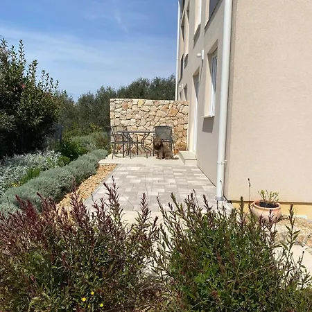 Twenty-punat 푸나트